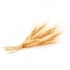 Grano